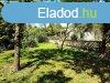 Hegyeshalmi Csaldi Hz Csods Udvarral