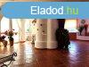 Elad 220 nm-es Csaldi hz Mriaklnok