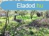 Elad 60 nm-es Feljtott Csaldi hz Debrecen Dohnyos utca