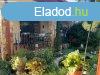 Elad 400m2-es Csaldi hz, Nyregyhza