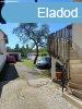 Pilisvrsvr, 150 m2, 89900000 HUF, 6 szoba, 2 flszoba [20