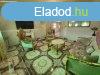 Elad 102m2-es Csaldi hz, Lrinci