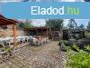 Elad 300 nm-es Feljtott Csaldi hz Pcs Budai-vros 
