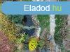 Elad 123 nm-es jszer llapot Csaldi hz Pcs Postavlgy