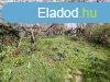 Elad 71 nm-es Feljtand Hzrsz Pcs Fehrhegy 