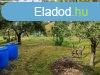 Elad 154 nm-es Feljtand Csaldi hz Pcs Mecsekoldal/Rig