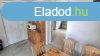 Elad Szajolban ktszobs feljtott csaldi hz az jtelepe