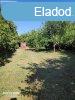 Elad Telek, Balatonboglr
