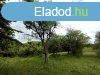 Elad 95 nm-es Csaldi hz Hrskt