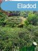 Elad 25 nm-es Htvgi hz Gdll