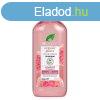dr.Organic Sampon bio guavval 265ml