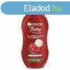 Garnier Regenerl testpol nagyon szraz brre (Reparing C