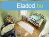 Elad csaldi hz Algyn!