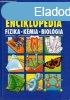 Kpes Usborne enciklopdia: Fizika - Kmia - Biolgia - Cori