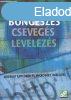 Bngszs-Csevegs-Levelezs - Internet Explorer s Microsof