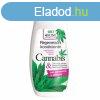 Bione cbd+cannabis regenerl hajkondicionl 260 ml