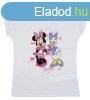 Disney Minnie s Daisy kacsa lnyka pl