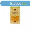 ALCE NERO BIO PENNE GLUTNMENTES 250 g