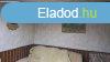 Elad 45 nm-es Csaldi hz Jszberny