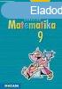 Sokszn matematika tanknyv 9. osztly - Kosztolnyi Jzsef