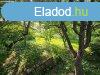 Elad csaldi hz! - Kaposvr