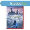 Hogwarts Legacy (Game Key Edition) - NSW 2