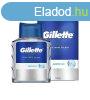 Gillette After shave Series Arctic Ice (After Shave Splash) 