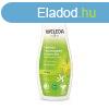 Weleda 24h expressz hidratl testpol (Express 24h Hydrati