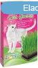 VITAKRAFT CAT GRASS MACSKAFU 120 G, 2426547