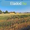 PTSI TELEK ELAD Balatontl 4 km-re! - Balatonszabadi