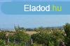 Csaldi hz gazdlkodsra alkalmas telekkel elad - Balatone