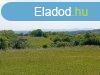 Elad 70 nm-es Feljtand Csaldi hz Baranyajen