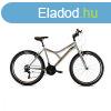 CAPRIOLO MTB DIAVOLO 600/18HT GREY/GREEN 920319-19