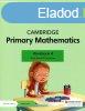 Cambridge Primary Mathematics Workbook 4. - Mary Wood - Emma