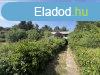 Elad telek rd, 	Parkostott, Panorms, rdligeten