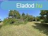 Elad 105m2-es ptsi telek, Szada