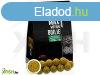Haldord Max Motion Boilie Premium Soluble 24 Mm - des Ana