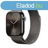 Apple Watch Series 10 GPS + Cellular 42mm Slate Titanium Cas