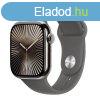 Apple Watch Series 10 GPS + Cellular 46mm Natural Titanium C