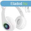 Vezetk nlkli bluetooth fejhallgat 