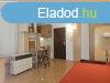 Kiad 30 nm-es Feljtott Tglalaks Pcs Belvros 