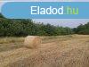 Elad Erd Mezgyn