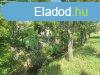 Elad csaldi hz Csmdr, 	hz patakkal, pajtval, mhelly