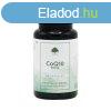 Q10 CoQ10 Koenzim 100mg 60 kapszula ? G&G