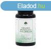 Chlorella Alga (trtt sejtfal s organikus) 60 kapszula - 