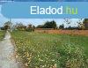 Elad 0ptsi telek, Rckeve