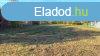 Elad 0ptsi telek, Sifok