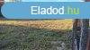 Elad 0ptsi telek, Sifok
