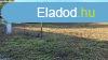 Elad 0ptsi telek, Sifok