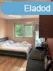 Studio Apartnam Balatonalmdi
